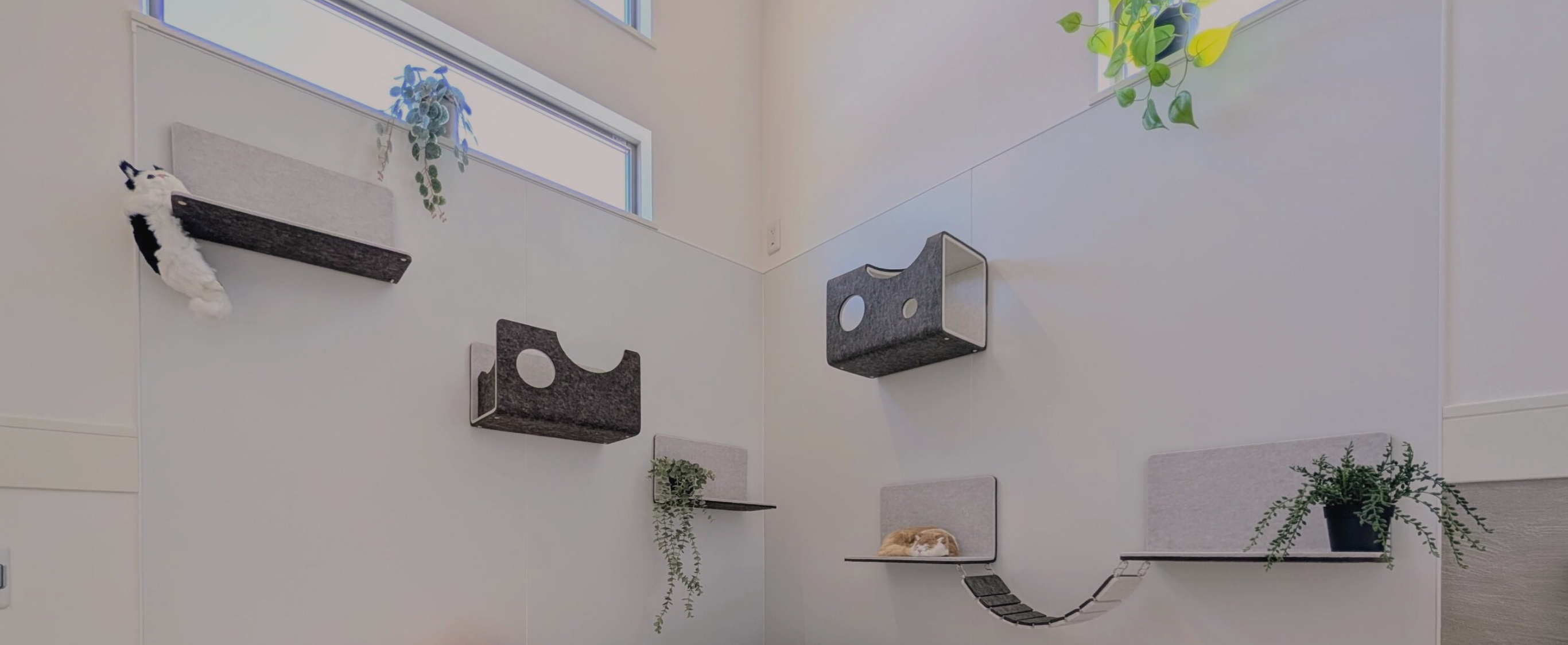 メインイメージ3