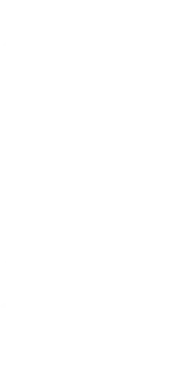 実物