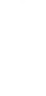実物